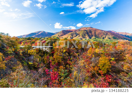 【宮城県_大崎市_鳴子峡】錦秋の鳴子峡 10月 【宮城県_大崎市_鳴子峡】錦秋の鳴子峡 10月 134188225