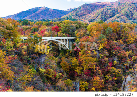 【宮城県_大崎市_鳴子峡】錦秋の鳴子峡 10月 【宮城県_大崎市_鳴子峡】錦秋の鳴子峡 10月 134188227