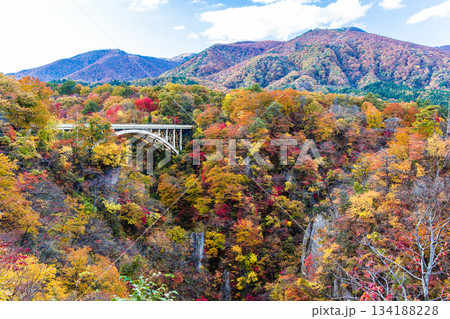 【宮城県_大崎市_鳴子峡】錦秋の鳴子峡　10月 134188228