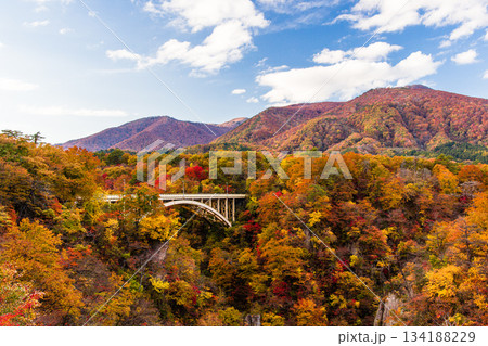 【宮城県_大崎市_鳴子峡】錦秋の鳴子峡 10月 【宮城県_大崎市_鳴子峡】錦秋の鳴子峡 10月 134188229
