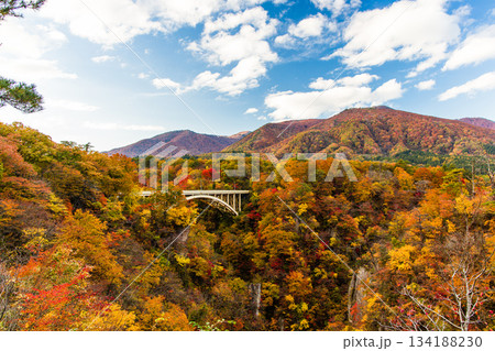 【宮城県_大崎市_鳴子峡】錦秋の鳴子峡　10月 134188230