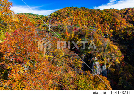 【宮城県_大崎市_鳴子峡】錦秋の鳴子峡　10月 134188231