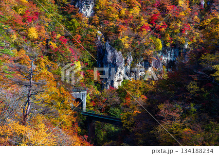 【宮城県_大崎市_鳴子峡】錦秋の鳴子峡　10月 134188234