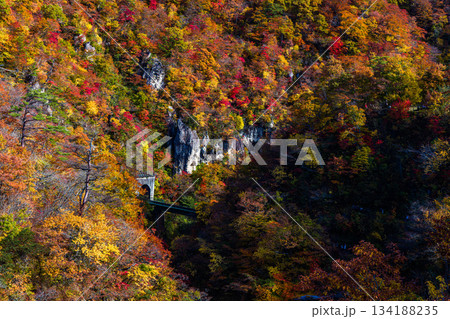 【宮城県_大崎市_鳴子峡】錦秋の鳴子峡　10月 134188235