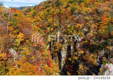 【宮城県_大崎市_鳴子峡】錦秋の鳴子峡　10月 134188236