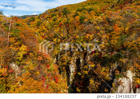 【宮城県_大崎市_鳴子峡】錦秋の鳴子峡　10月 134188237