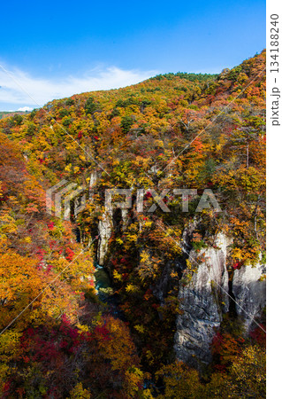 【宮城県_大崎市_鳴子峡】錦秋の鳴子峡 10月 【宮城県_大崎市_鳴子峡】錦秋の鳴子峡 10月 134188240