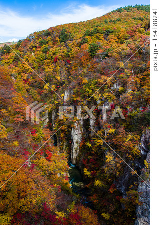 【宮城県_大崎市_鳴子峡】錦秋の鳴子峡　10月 134188241