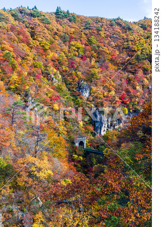 【宮城県_大崎市_鳴子峡】錦秋の鳴子峡　10月 134188242