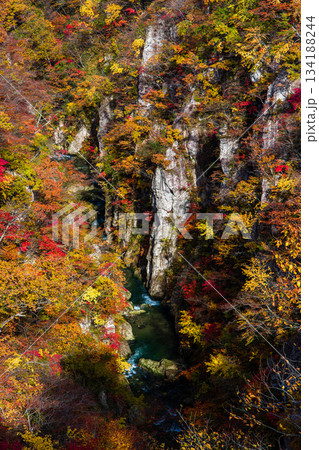 【宮城県_大崎市_鳴子峡】錦秋の鳴子峡　10月 134188244