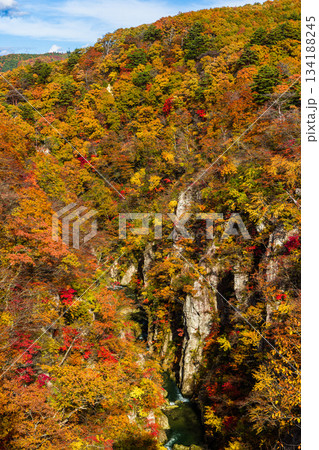 【宮城県_大崎市_鳴子峡】錦秋の鳴子峡　10月 134188245