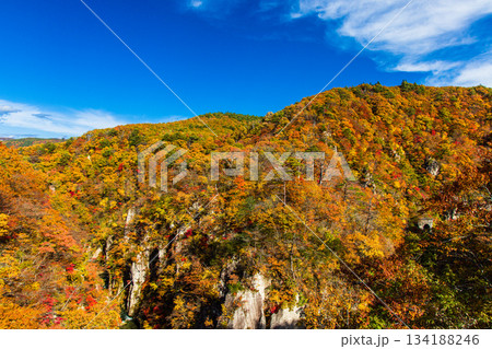 【宮城県_大崎市_鳴子峡】錦秋の鳴子峡　10月 134188246