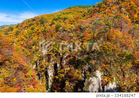 【宮城県_大崎市_鳴子峡】錦秋の鳴子峡　10月 134188247