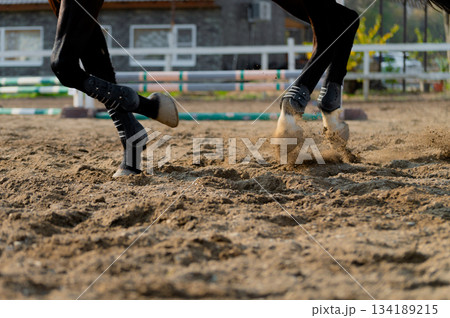 A photograph of a horse's hooves galloping across an earthen arena on a sunny summer day. Equestrian sport and horseback riding. Dust from under the horse's hooves. A photograph of a horse's hooves galloping across an earthen arena on a sunny summer day. Equestrian sport and horseback riding. Dust from under the horse's hooves. 134189215