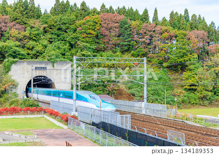 秋の青函トンネルを走る東北新幹線　青森県東津軽郡 134189353