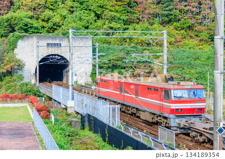 秋の青函トンネルを走る貨物電車 青森県東津軽郡 秋の青函トンネルを走る貨物電車 青森県東津軽郡 134189354