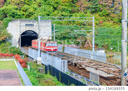 秋の青函トンネルを走る貨物電車 青森県東津軽郡 秋の青函トンネルを走る貨物電車 青森県東津軽郡 134189355