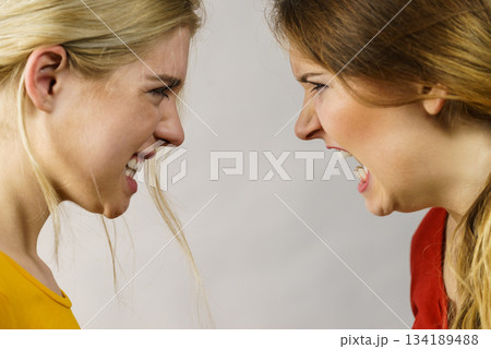 Angry fury girls screaming at each other Angry fury girls screaming at each other 134189488