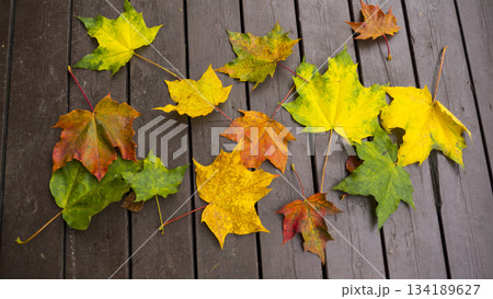 Autumn leaves Autumn leaves 134189627