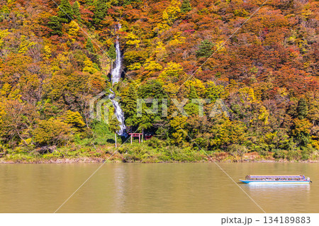 【山形県_白糸の滝】紅葉の白糸の滝と紅葉舟下り 10月 11月 【山形県_白糸の滝】紅葉の白糸の滝と紅葉舟下り 10月 11月 134189883
