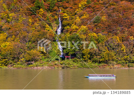 【山形県_白糸の滝】紅葉の白糸の滝と紅葉舟下り 10月 11月 134189885