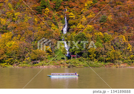 【山形県_白糸の滝】紅葉の白糸の滝と紅葉舟下り 10月 11月 【山形県_白糸の滝】紅葉の白糸の滝と紅葉舟下り 10月 11月 134189888