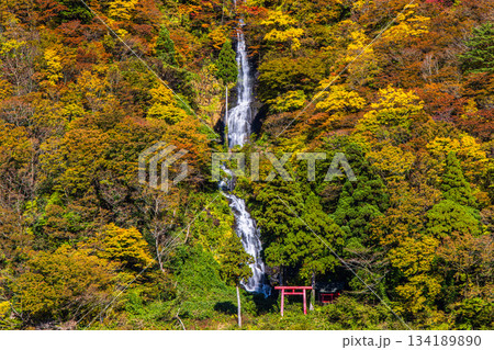 【山形県_白糸の滝】紅葉の白糸の滝と紅葉舟下り 10月 11月 【山形県_白糸の滝】紅葉の白糸の滝と紅葉舟下り 10月 11月 134189890