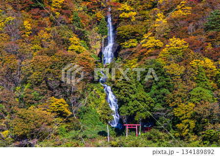 【山形県_白糸の滝】紅葉の白糸の滝と紅葉舟下り 10月 11月 【山形県_白糸の滝】紅葉の白糸の滝と紅葉舟下り 10月 11月 134189892