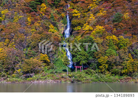 【山形県_白糸の滝】紅葉の白糸の滝と紅葉舟下り 10月 11月 【山形県_白糸の滝】紅葉の白糸の滝と紅葉舟下り 10月 11月 134189893