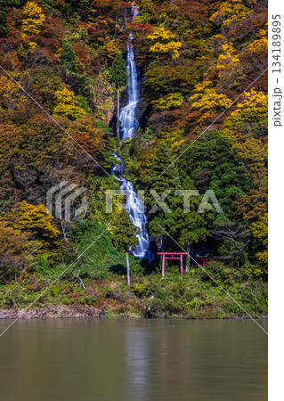 【山形県_白糸の滝】紅葉の白糸の滝と紅葉舟下り 10月 11月 【山形県_白糸の滝】紅葉の白糸の滝と紅葉舟下り 10月 11月 134189895