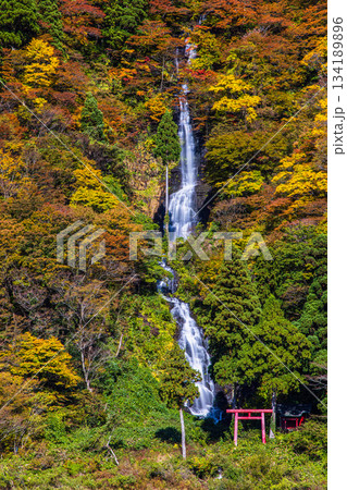 【山形県_白糸の滝】紅葉の白糸の滝と紅葉舟下り 10月 11月 【山形県_白糸の滝】紅葉の白糸の滝と紅葉舟下り 10月 11月 134189896