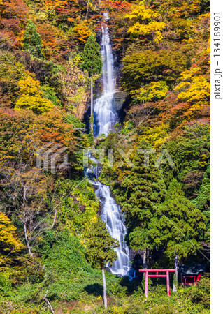 【山形県_白糸の滝】紅葉の白糸の滝と紅葉舟下り 10月 11月 134189901