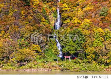 【山形県_白糸の滝】紅葉の白糸の滝と紅葉舟下り 10月 11月 134189905