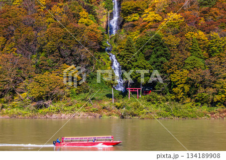 【山形県_白糸の滝】紅葉の白糸の滝と紅葉舟下り 10月 11月 【山形県_白糸の滝】紅葉の白糸の滝と紅葉舟下り 10月 11月 134189908
