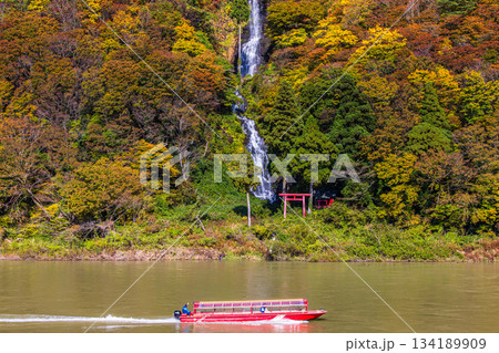 【山形県_白糸の滝】紅葉の白糸の滝と紅葉舟下り 10月 11月 134189909