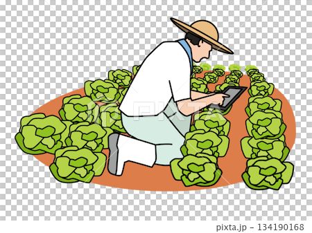 Smart agriculture 134190168