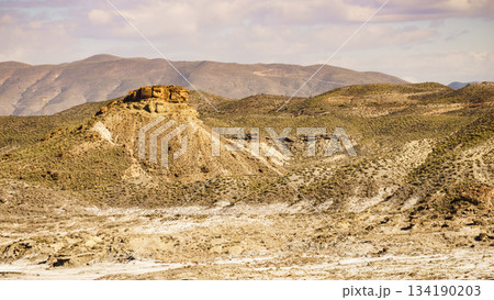 View of the Tabernas desert in Spain 134190203