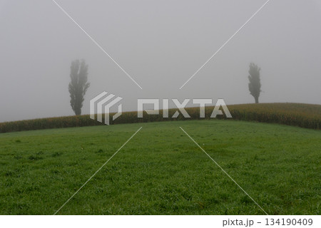 秋の朝霧の美瑛風景 秋の朝霧の美瑛風景 134190409