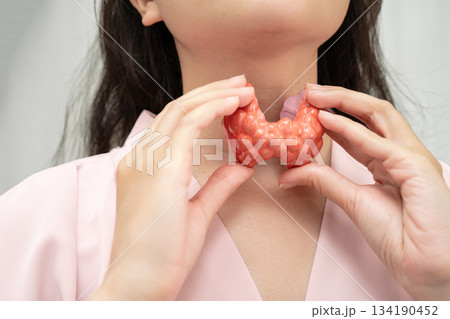 Hyperthyroidism, Overactive Thyroid, Thyroid Lymphoma, Asian woman with thyroid gland human anatomy model. 134190452