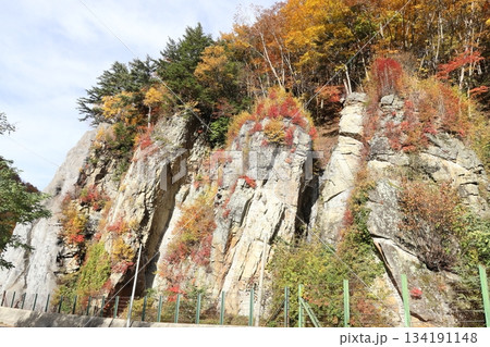 紅葉に染まる絶壁 長野県高山村 紅葉に染まる絶壁 長野県高山村 134191148