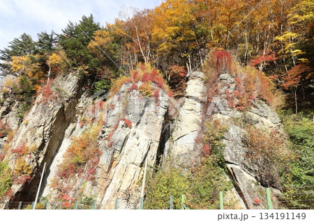 紅葉に染まる絶壁 長野県高山村 紅葉に染まる絶壁 長野県高山村 134191149