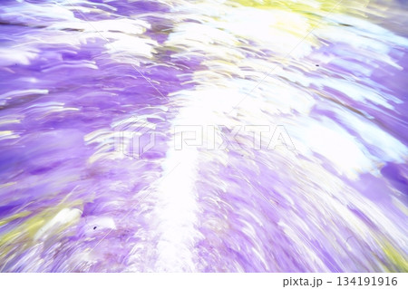 藤色の時 藤色の時 134191916
