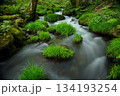 癒される木谷沢渓谷 134193254