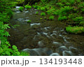 木谷沢渓谷は奇麗 134193448