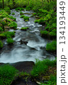 癒される木谷沢渓谷 134193449