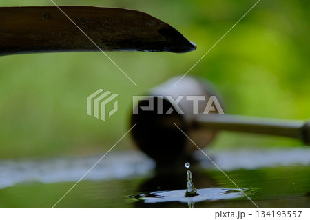 水が生きてる 水が生きてる 134193557