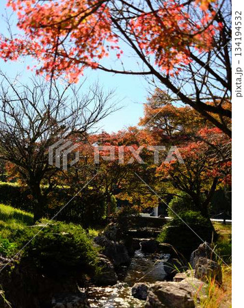 《高知県》紅葉 《高知県》紅葉 134194532