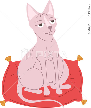 Hairless cat on pillow 134194677