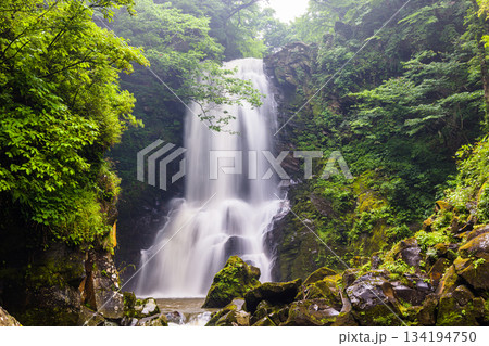 【秋田県_にかほ市】轟音（ごうおん）をたてて迎える奈曽の白滝  夏 134194750