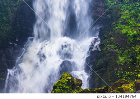 【秋田県_奈曽の白滝】轟音（ごうおん）をたてて迎える迫力と清涼感の白滝 134194764